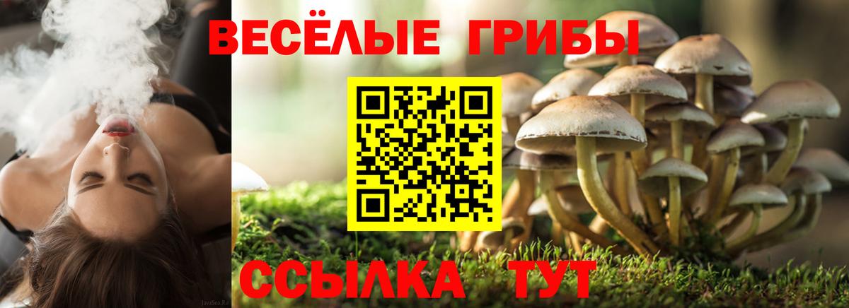 Псилоцибиновые грибы ЛСД  Вход с VPN  Анапа 